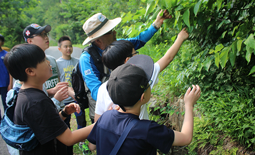 Forest education Program to Intimate with nature for youth