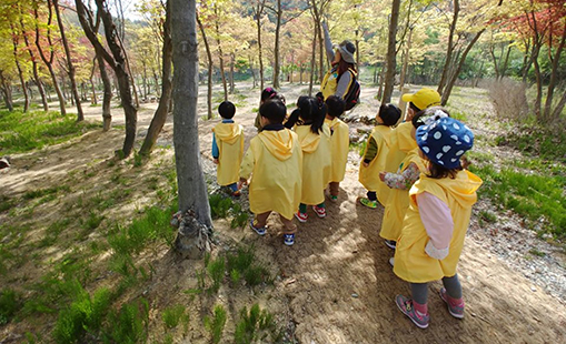 Children forest experience in the forest