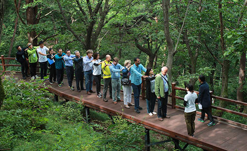 Forest therapy program for foreigners