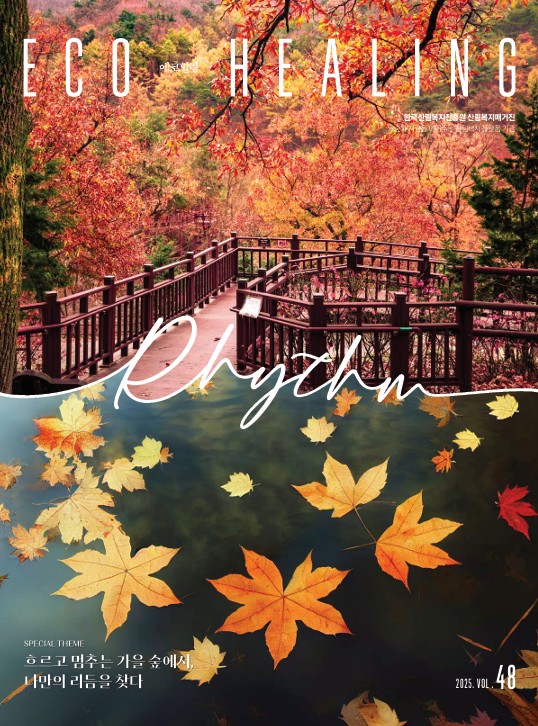 에코힐링48호