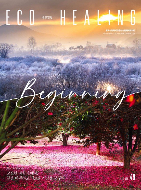 에코힐링49호