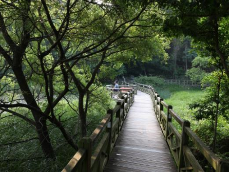 산림복지 무장애 나눔길 조성사례