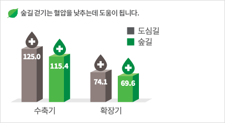 숲길 걷기는 혈압을 낮추는데 도움이 됩니다.