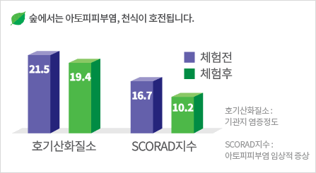 숲에서는 아포피피부염, 천식이 호전됩니다.