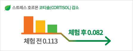 숲에서는 스트레스 호르몬 코티솔(CORTISOL) 감소