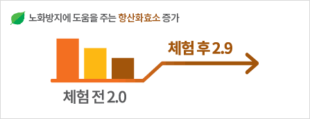 숲에서는 노화방지에 도움을 주는 항산화효소 증가