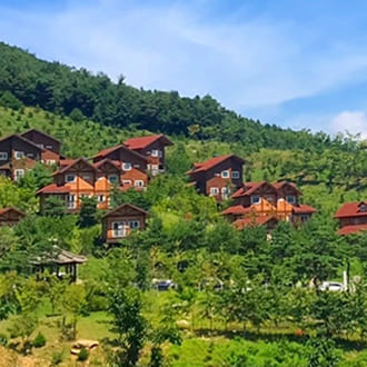 국립산림치유원
