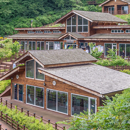 국립대관령치유의숲